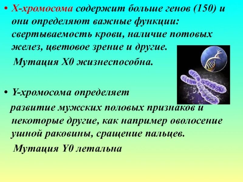 Вторая х хромосома. Генетика пола и наследование сцепленное с полом. Наследование признаков сцепленных с полом. Презентация на тему генетика пола.