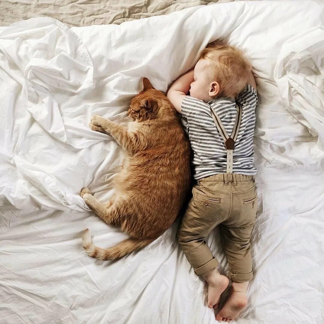 Кот спавший ребенка. Кошка для детей. котёнок-ребёнок. ребенок спит с котом. для малышей (котенок).