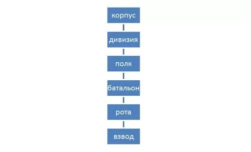 Полк корпус дивизия бригада. Рота и т д