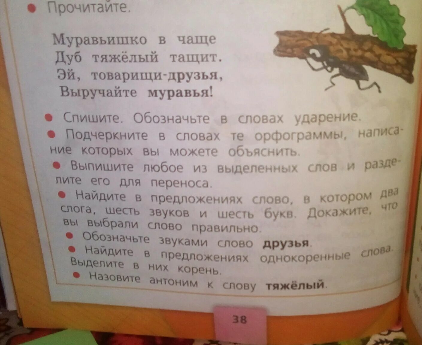 Муравьишка в чаще дуб тяжелый тащит. Проверь себя муравьишко в чаще. Муравьишка в чаще дуб тяжелый тащит орфограммы. Муравьишка корень слова. Берлога орфограмма