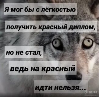 Я мог бы быть первым