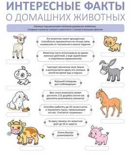Интересное о животных читать