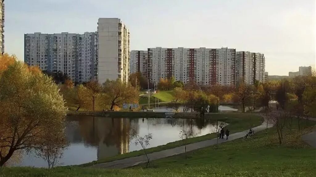 Парк Ясеневские пруды. Ясенево пруды. Московский район Ясенево. Усадьба Ясенево Ясеневские пруды. Бесплатные в ясенево