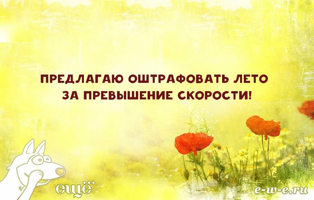 Наступило утро окончание. Цитаты про лето. Позитивные открытки в понедельник. Понедельник высказывания позитивные. Понедельник цитаты картинки.