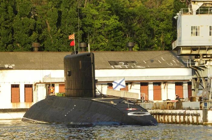 пл б. подводные лодки проекта 636 «варшавянка». дпл проекта 877 б-808 ярославль. подводная лодка палтус 877. подводная лодка б 871 алроса.