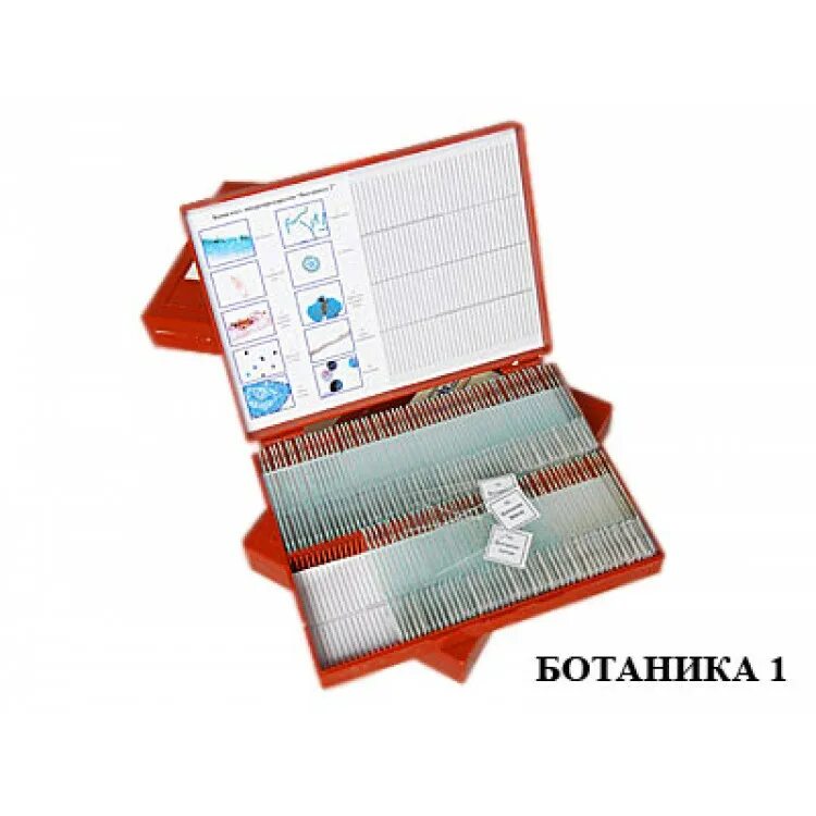 микропрепараты зоология. микропрепараты зоология. микропрепараты ботаника. набор микропрепаратов анатомия. набор для микроскопа по биологии.