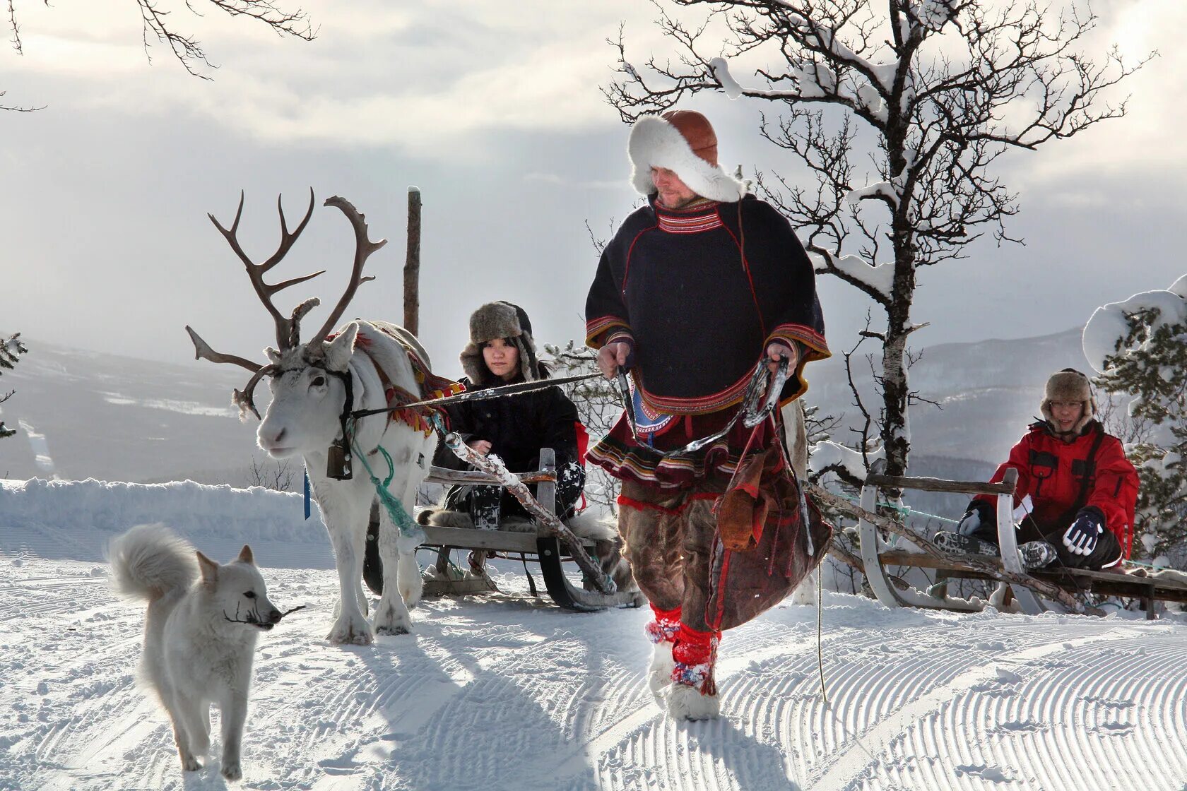 Ненцы ханты манси чукчи. Обладать северный. Традиции саамов кольского полуострова. Обладать северный. Северный характер 2022.