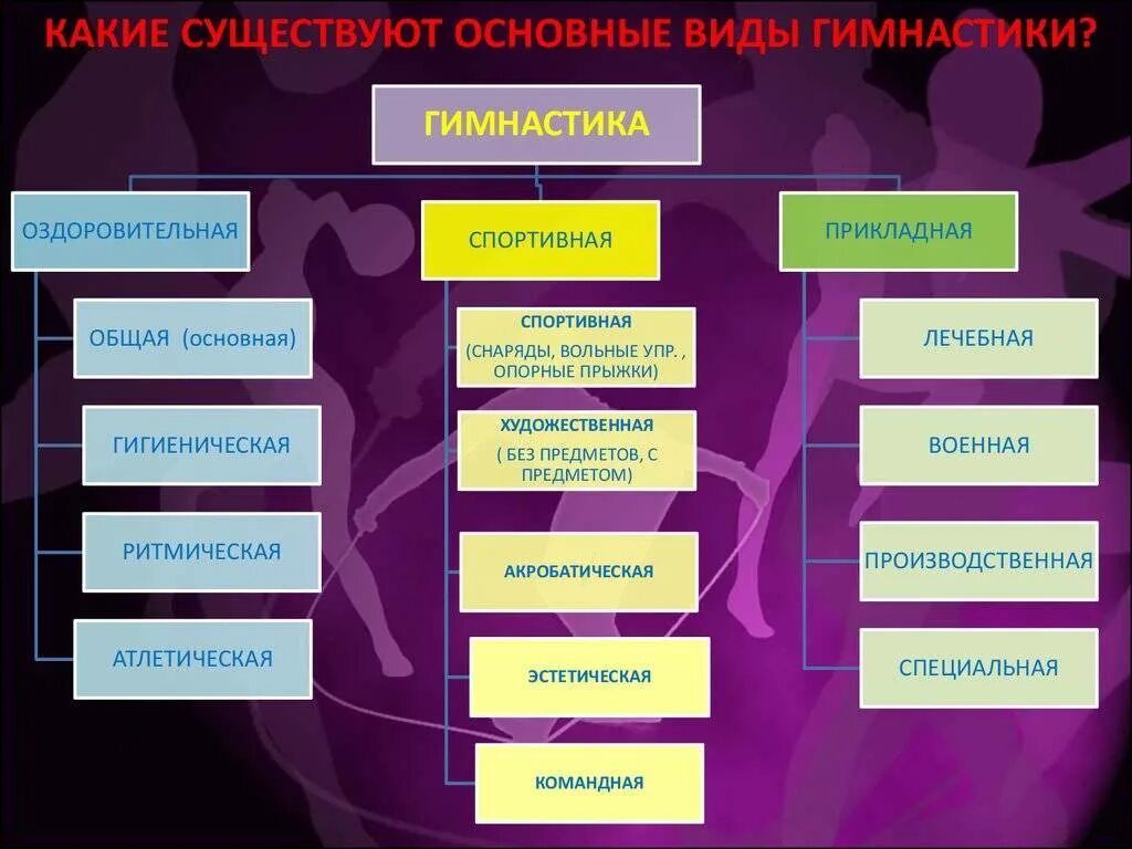 Какие виды бывают сообщение. Виды гимнастики. Гимнастика виды гимнастики. Классификация видов гимнастики. Виды гимнов бывают какие.