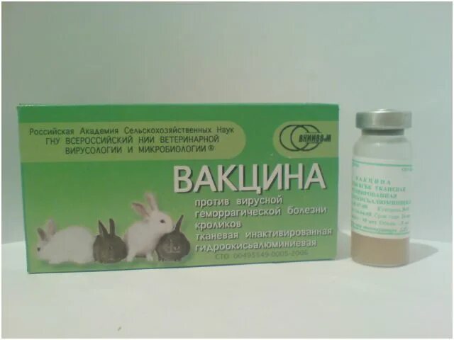 Ассоциированная вакцина против миксоматоза и вгбк. Миксоматоз и ВГБК У кроликов вакцина. ВГБК И миксоматоз. Комплексная вакцина для кроликов против миксоматоза и ВГБК. Прививки кроликам ВГБК.