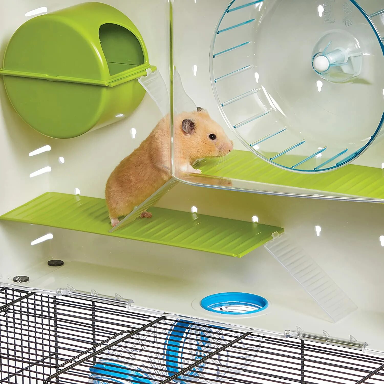 Pet hamster. Ферпласт клетка Одноэтажная Hamster. Hamster Cage. Critterville Arcade Hamster Home. Criceti 11.