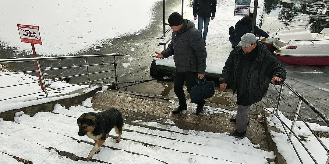 Мужчина спас собаку. Спасение от бродячих собак в России. Дворняга спасла человека. Спасение бездомных Пенза.