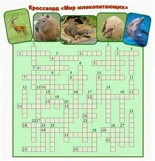 Кроссворд по млекопитающим 7 класс