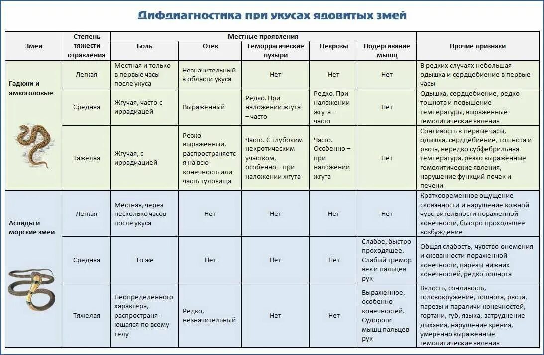 Как не допустить укуса гадюки. Таблица ядовитых змей. симптомы укуса неядовитой змеи. антидот при укусе ядовитых змей. признаки укуса ядовитой змеи.