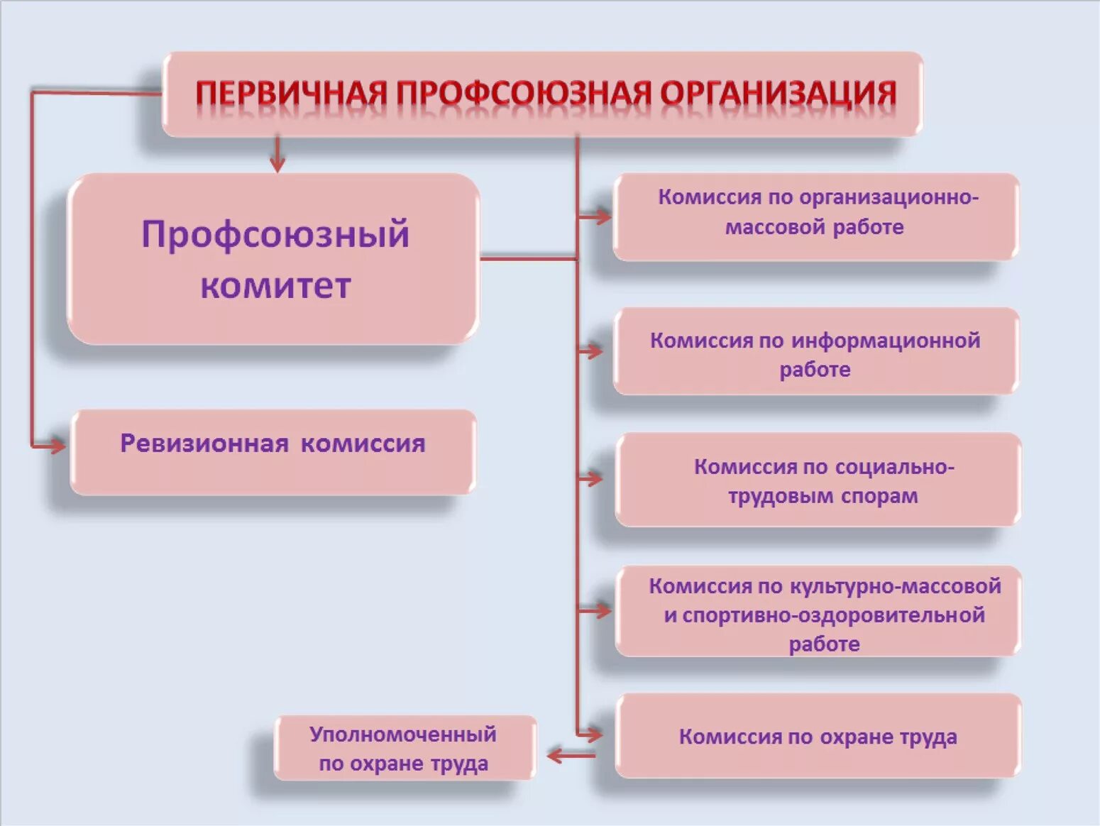 Какая структура организации первична. Структура первичной профсоюзной организации. Структура первичной профсоюзной организации ДОУ. Структура первичной профсоюзной организации работников образования. Состав профсоюзного комитета первичной профсоюзной.