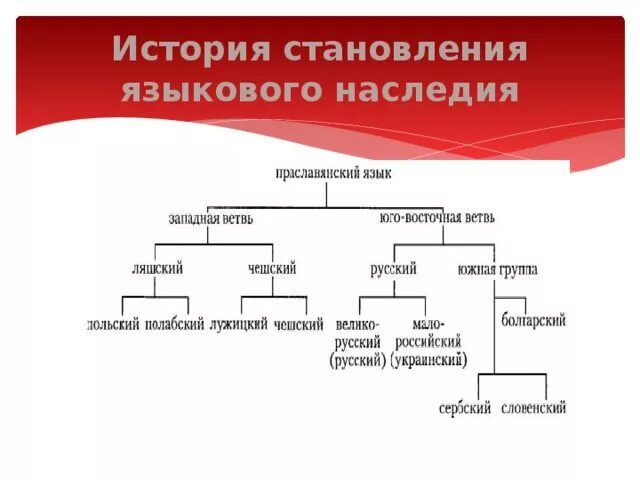 Формирование языковых. Формирование языковых