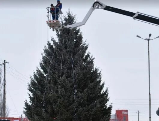 Елка чистополь. Чистополь скарятинский парк в новый год. Елка чистополь. Елки в чистополе 2023. Новогодняя елка чистополя.