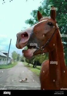 Лошадь раскрыта
