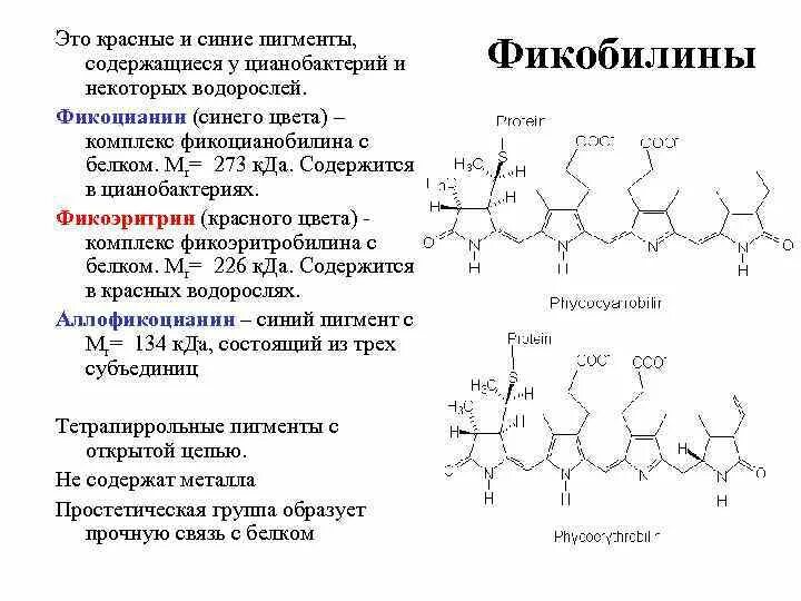 Пигмент участвовавший в фотосинтезе. Фикоэритрин и фикоцианин. Пигменты хлорофилл каротиноиды и фикобилины. Фикобилины структурная формула. Фикобилины и фикоэритрины.