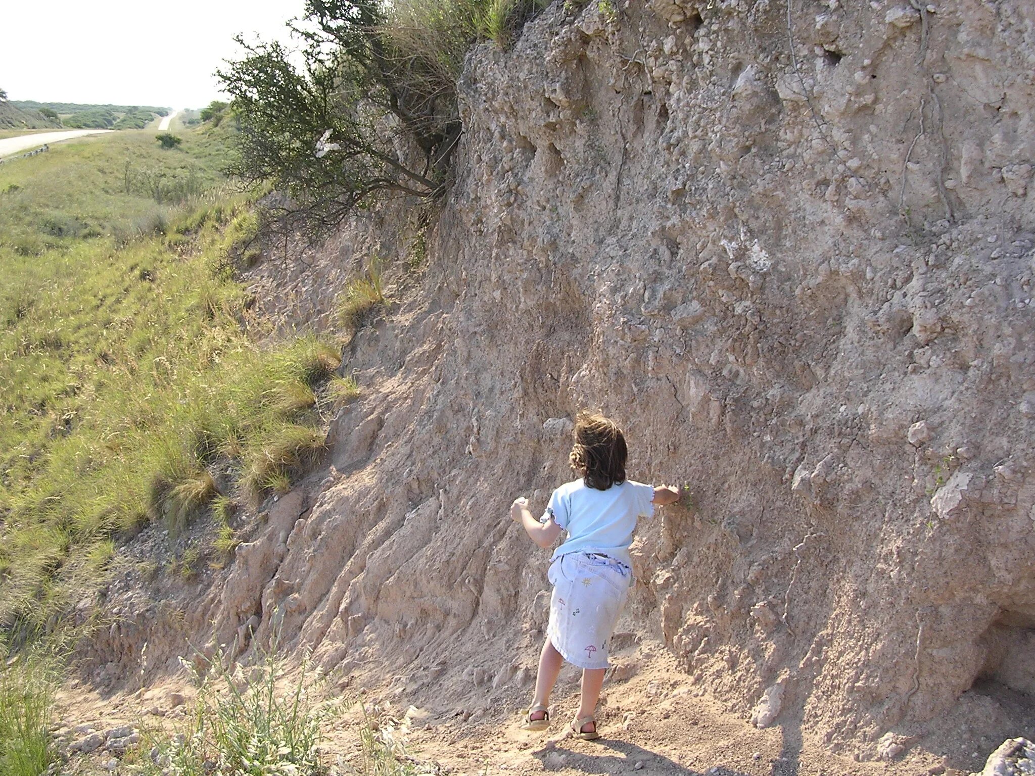Лёсс это в географии. Что такое лесс. Супесь лессовидная. Лёсс горная порода структура. Лессовидные суглинки.