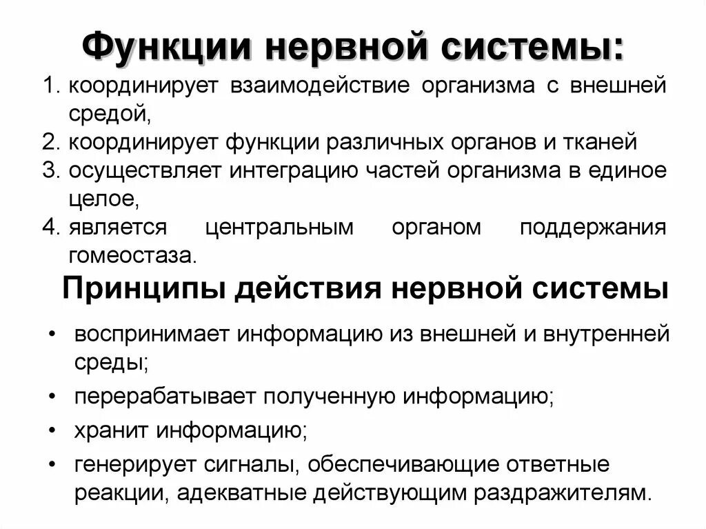 1.Перечислите функции нервной системы.. Перечислите и охарактеризуйте функции нервной системы. Основные функции нервной системы человека кратко. Нервная система выполняет функции. Какую роль играет нервная