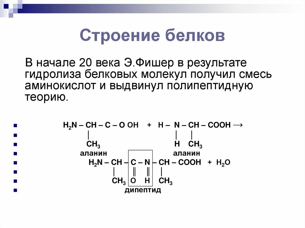 2 при гидролизе белка образуются. Строение белков кратко биология. Строение и структура белков. Хим строение белков. Белки строение кратко биология.