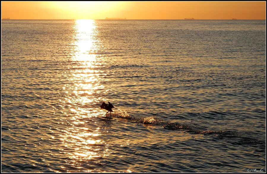 Восход над рекой. Азовское морей ейск рассвет. Пляж закат. Рассветы волга ульяновск. Восход солнца в екатеринбурге.