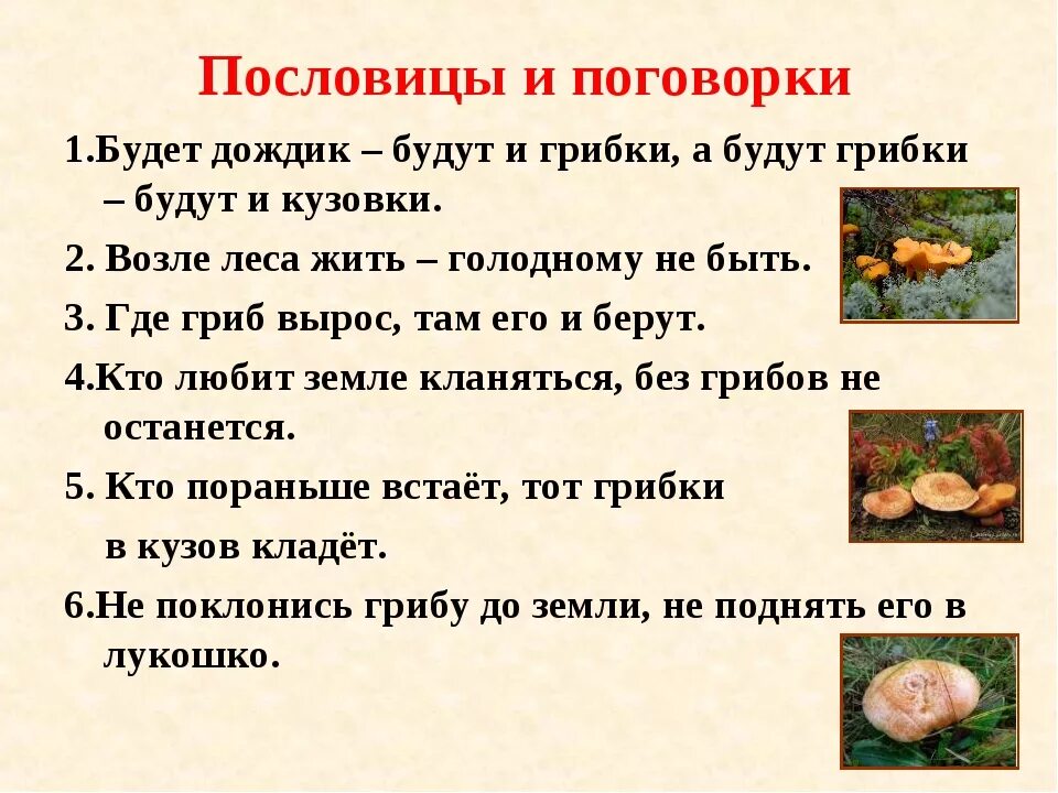 Составить предложение со словом грибница окружающий