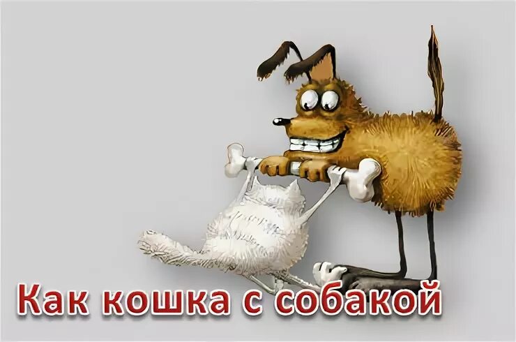 Жить как кошка с собакой