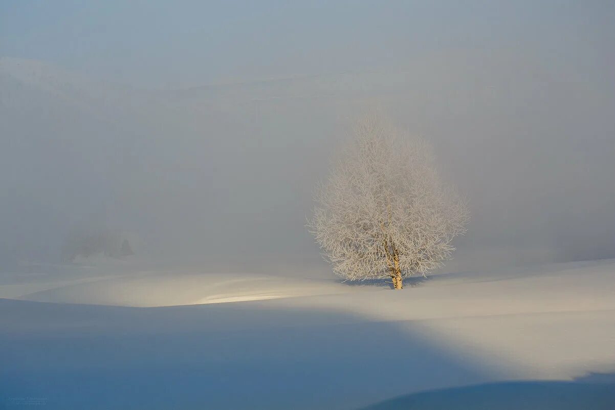 Безмолвие природы. Тишина зима. Темное безмолвие. Элизабет гэдд. Безмолвие.