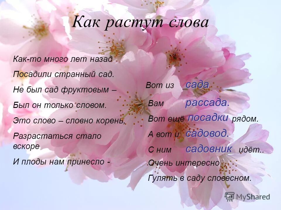 изложение описание животного куприн ю-ю. глагол расти. время слова растет. как правильно писать выросли. слова с корнем вод.