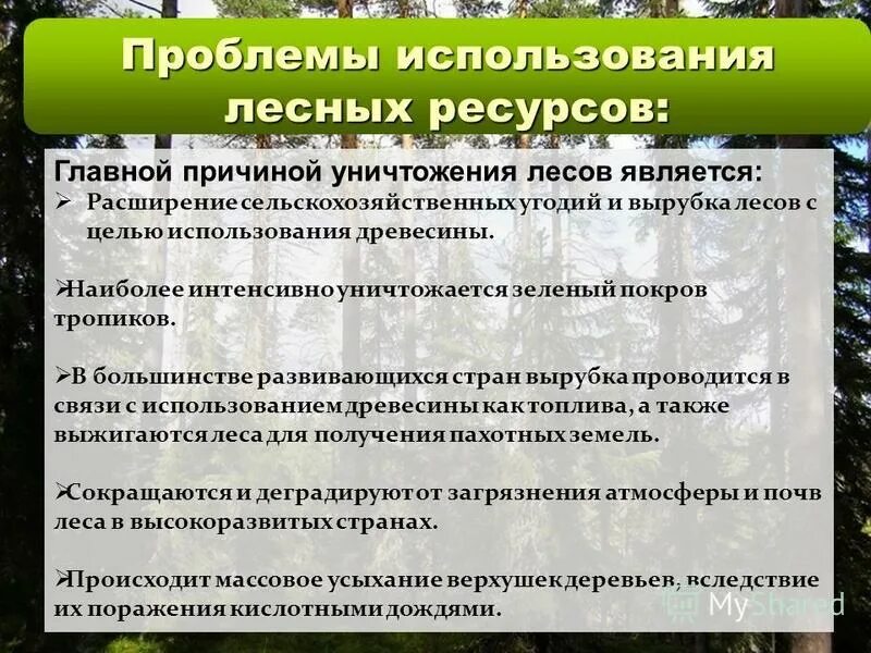 Рациональное использование лесных ресурсов презентация