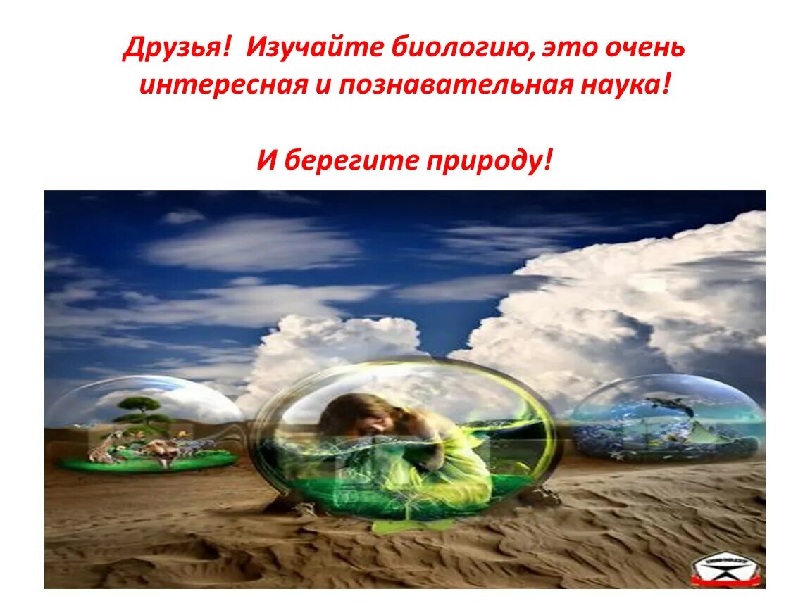 Наука о природе естественные науки. Жизнь это в биологии. Семья биологических наук 5 класс. Дети изучают биологию. Биологические науки 5 класс.