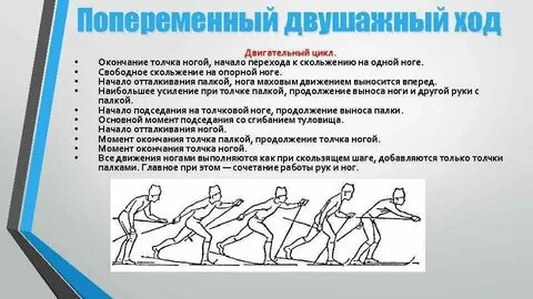 Какое из упражнений предполагает попеременные движения ногами
