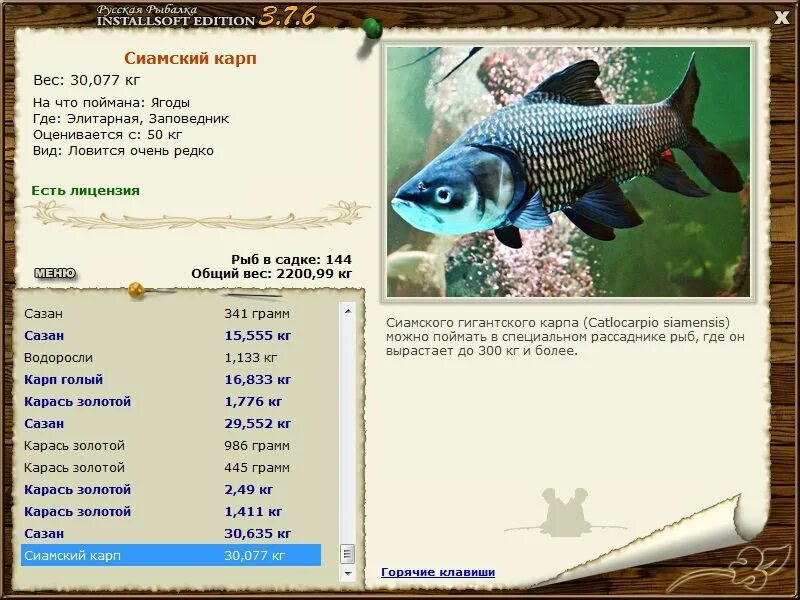 Какую рыбу можно ловить. На что можно лов ть рыбу. Допустимые размеры рыбы для любительской рыбалки. Норма вылова рыбы. На что можно лов ть рыбу.