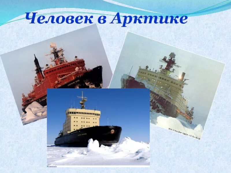 Нарисовать арктику. Арктика 2 класс. Арктика для детей. Арктика и антарктика 2 класс. Арктика рисунок для 4 класса.