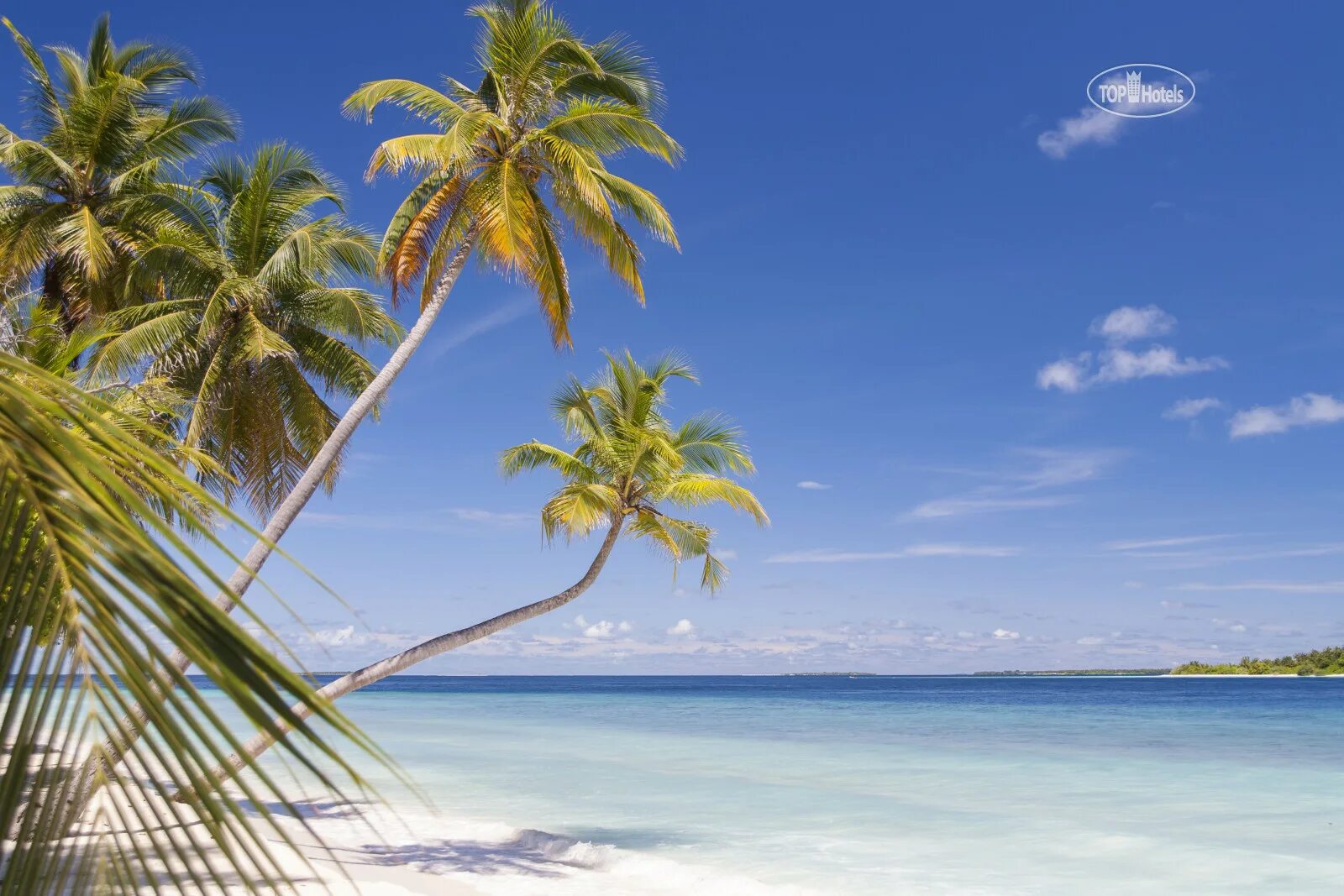 Dhonfulhafi beach view & spa. Maalhos мальдивы. Dhonfulhafi beach view & spa baa maalhos отель. Dhonfulhafi beach view & spa baa maalhos отель. Dhonfulhafi beach view.