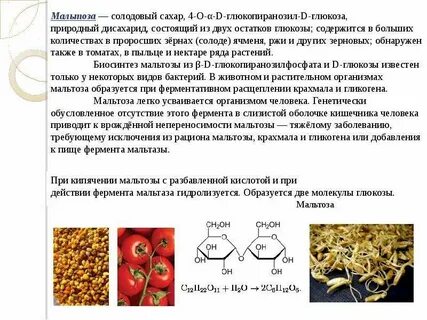 Мальтоза функции