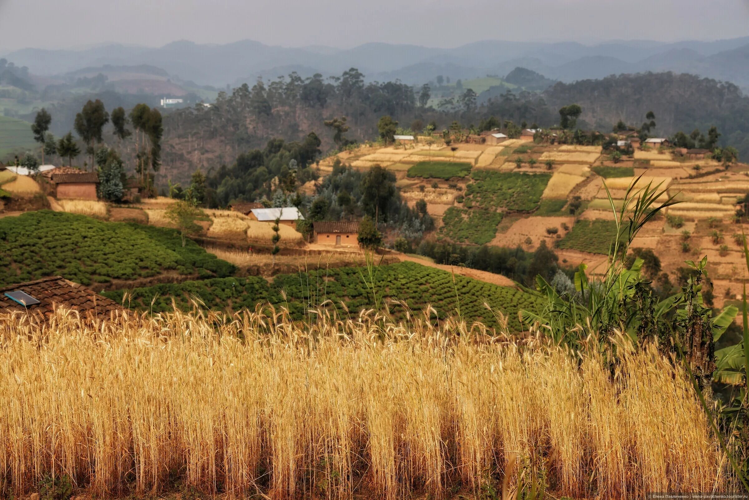 Страна 1000 городов. Руанда природа. Руанда пейзажи. Отель тысяча холмов в Руанде. Руанда Страна.