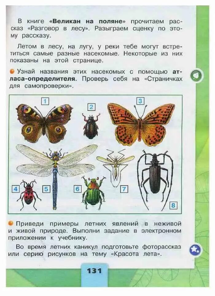 Окружающий мир 2 класс основные темы. Окружающий мир 2 класс учебник 2 часть стр 131. Книга окружающий мир 2 класс 2 часть. Насекомые по окружающему миру 2 класс.