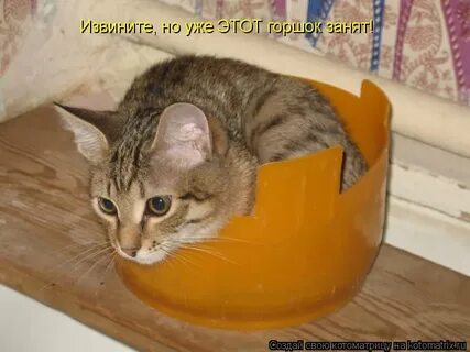 Твое место занято
