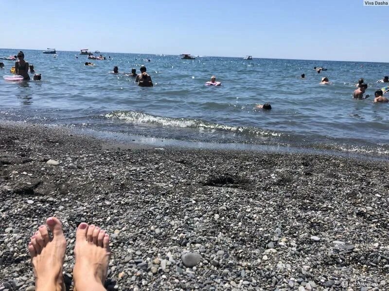Купаются ли в море в сочи. Пляж чайка геленджик. грязные пляжи адлера. грязный пляж сочи.