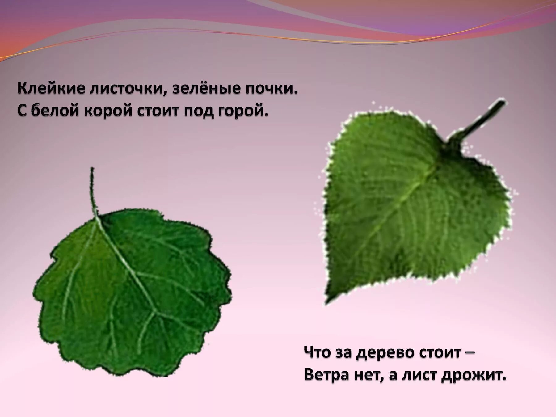 Подн лись