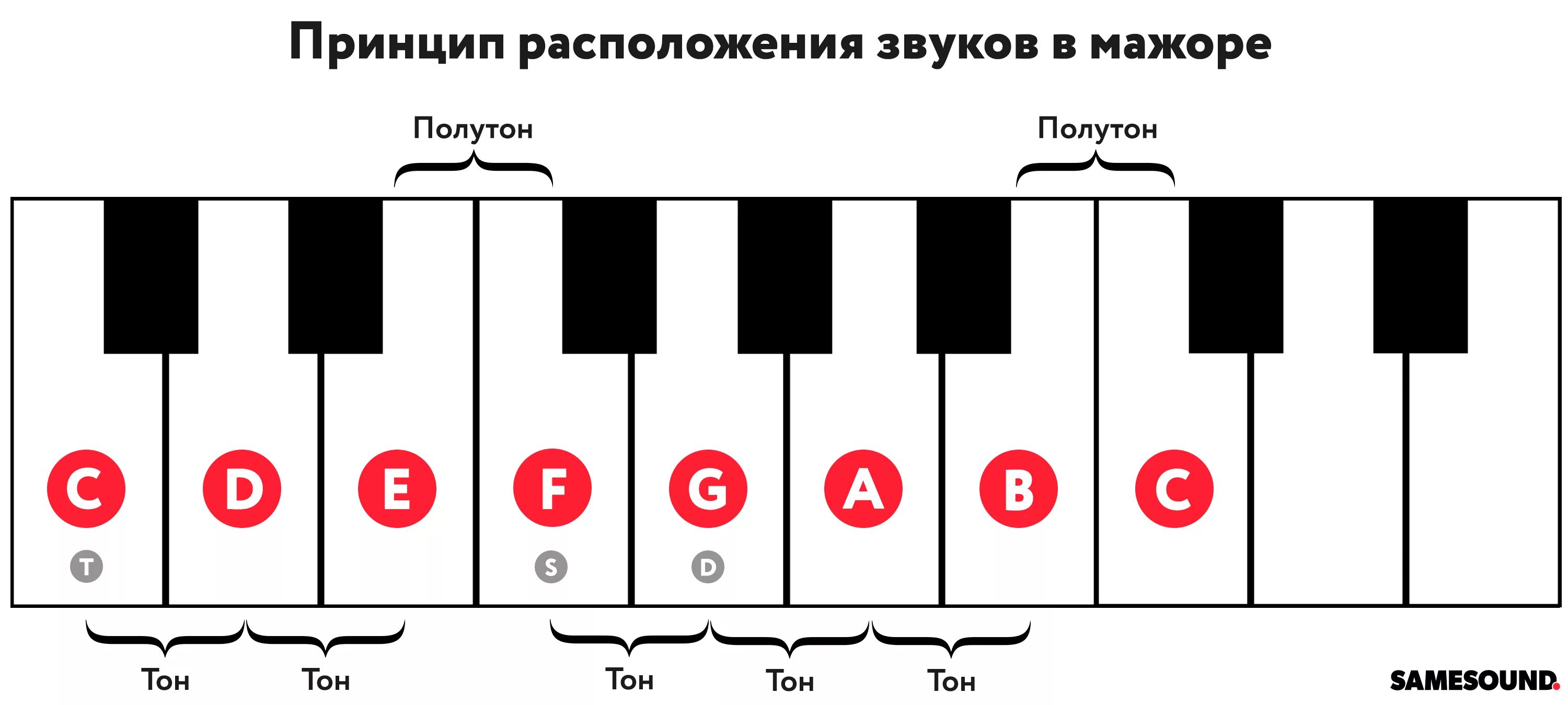 Звук на 3 тона. Тон полутон строение мажорной гаммы. Минорная Тональность тон полутон. Строение минорной гаммы тон. Строение мажорной и минорной гаммы.