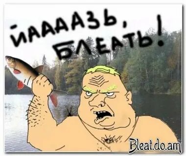 Не верю блять