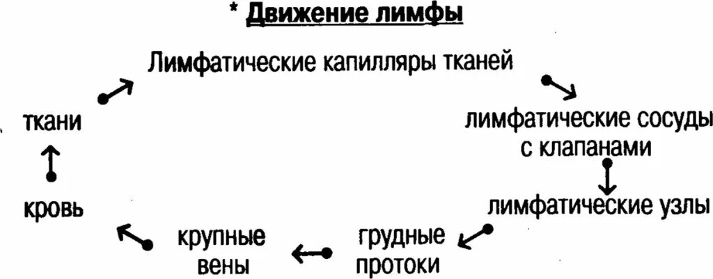 Движение лимфы 8 класс кратко. Схема строения лимфатической системы пропущенные компоненты. последовательность движения лимфы в организме человека. механизм образования лимфы схема. пути транспорта лимфы.
