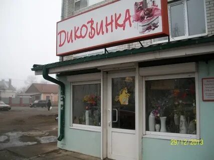 Диковинка алексеевка