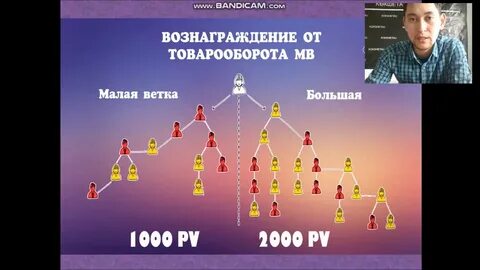Организация тренд