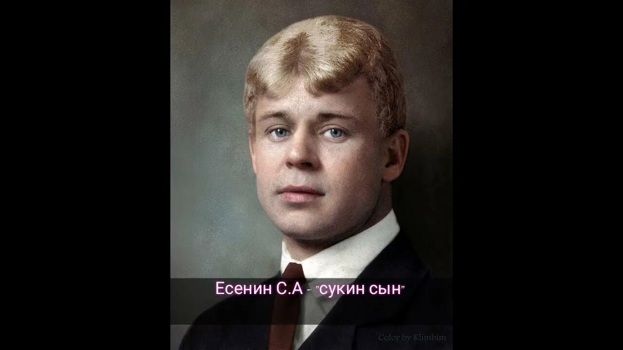 Есенин сын стих. Есенин сукин Есенин сын стих. Скуин сын Есенин. Стихотворение Есенина сукин сын.