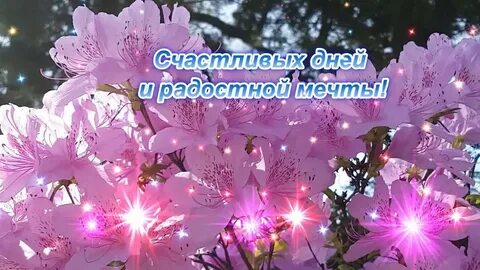 Красивое видео с хорошими пожеланиями