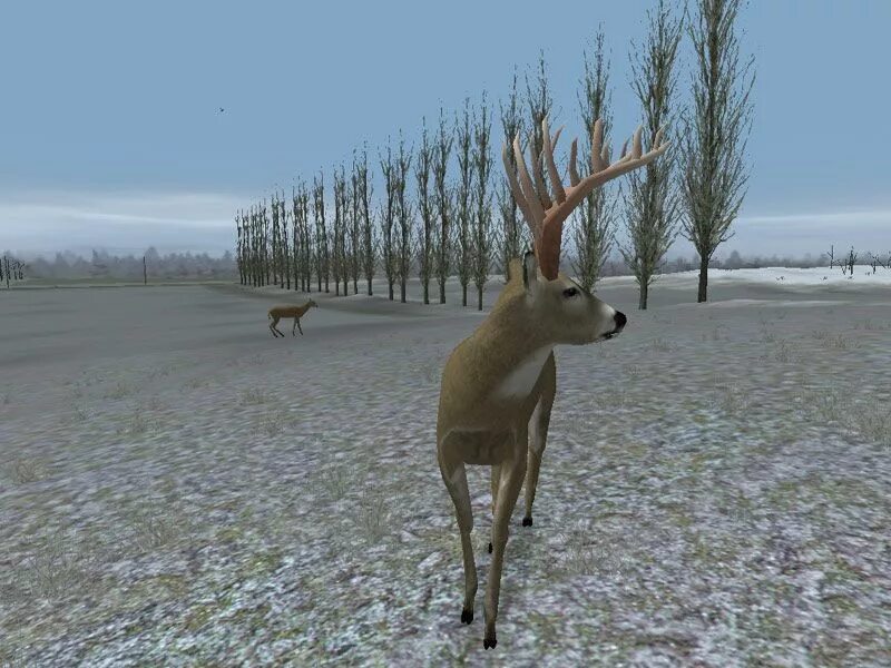 Игра охота Hunting Unlimited. Hunting Unlimited 2008. Hunting Unlimited 2. Hunting Unlimited 2 игра.